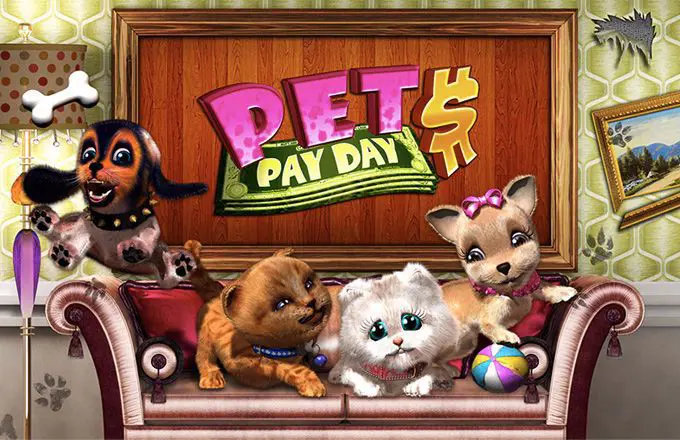 Pets Pay Day - Spin City - Congo